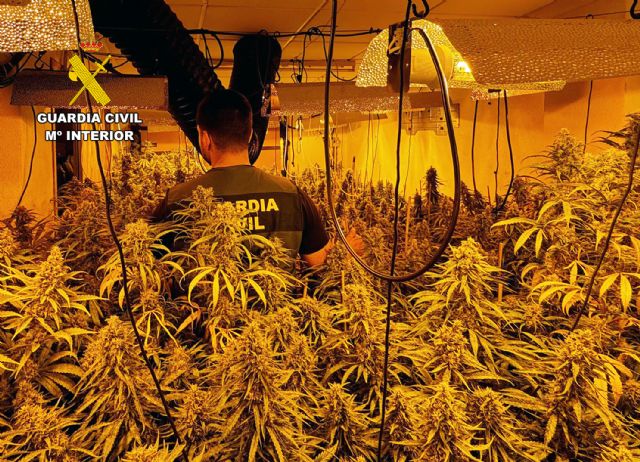La Guardia Civil detiene a una pareja en Archena por cultivo ilícito de marihuana - 2, Foto 2