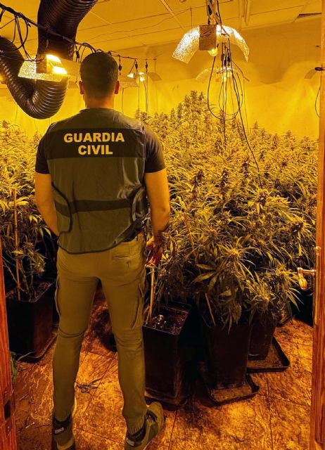 La Guardia Civil detiene a una pareja en Archena por cultivo ilícito de marihuana - 4, Foto 4