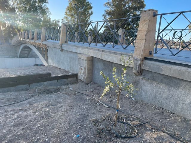 El PSOE pide explicaciones a Fulgencio Gil sobre los bloques de hormigón instalados en los extremos del Puente de la Torta - 1, Foto 1