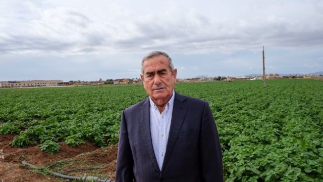 Fecoam celebra su XXXIX Asamblea General reivindicando el modelo cooperativo - 2, Foto 2