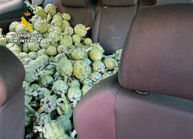 La Guardia Civil desmantela en Cartagena un grupo delictivo que sustraía alcachofas - 3, Foto 3