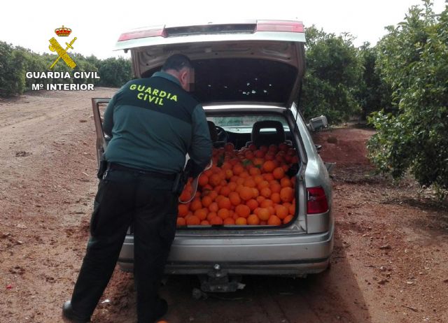 Una nueva investigación del equipo ROCA de la Guardia Civil culmina con tres detenidos y un investigado en Cartagena - 2, Foto 2