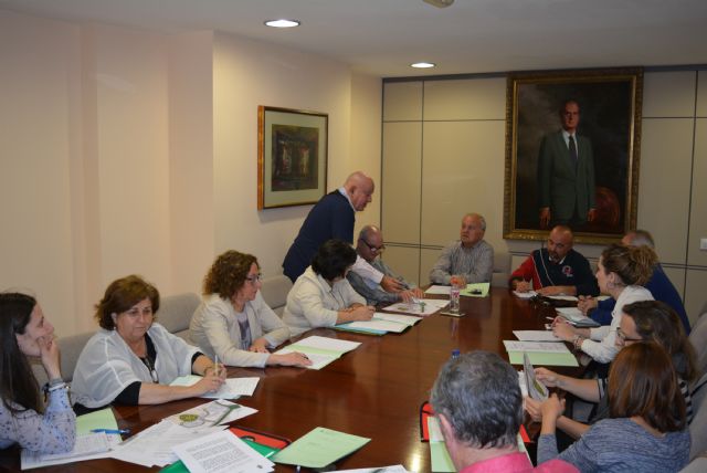 Le mesa de seguimiento del Centro Hospitalario de Alta Resolución propone diferentes ubicaciones para su construcción - 1, Foto 1