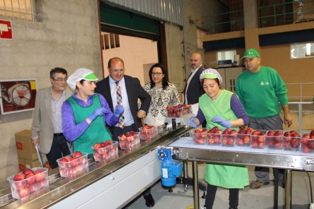 Pedro Antonio Sánchez: En Pliego ha bajado el paro el doble que la media regional en el último año - 4, Foto 4