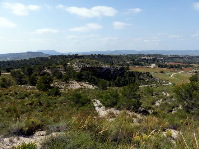 IU-V denuncia un vertedero de desechos de curtidos en un paraje de la diputación de Torrealvilla - 1, Foto 1