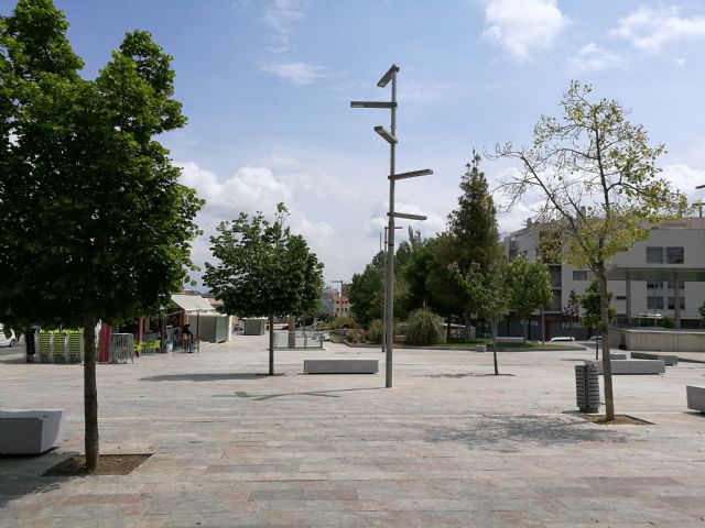 Saneamiento de árboles y arbustos del término municipal - 1, Foto 1