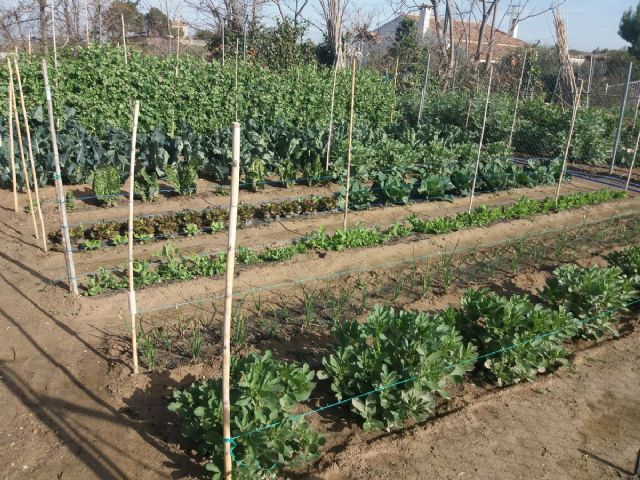 El Ayuntamiento de Bullas colabora con el Proyecto Life Sarmiento - 4, Foto 4