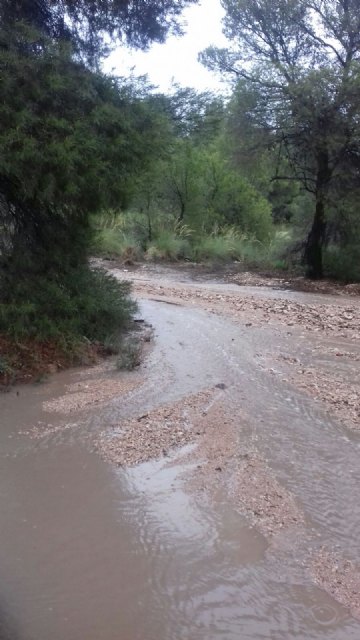 El 112 ha recibido hasta las 18:00 h. un total de 30 llamadas correspondientes a 23 asuntos relacionados con las tormentas, Foto 2