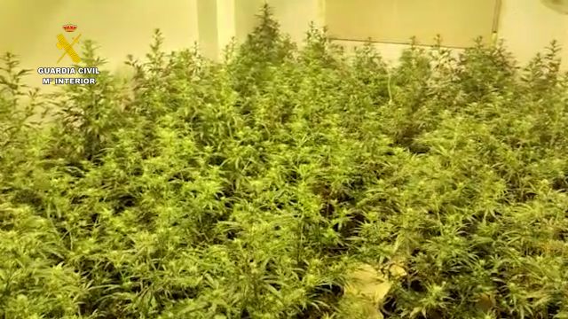 La Guardia Civil desarticula en San Javier un grupo delictivo dedicado a la producción a gran escala de marihuana - 3, Foto 3