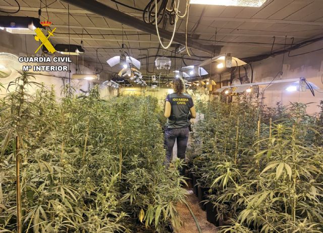 La Guardia Civil desarticula en San Javier un grupo delictivo dedicado a la producción a gran escala de marihuana - 5, Foto 5