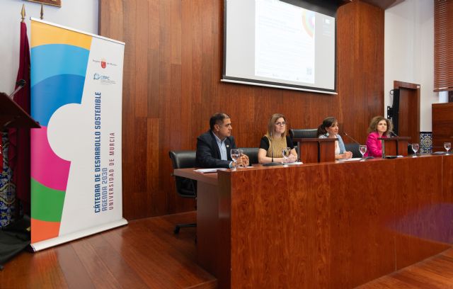 Expertos en Agenda Urbana analizan en la UMU los retos para lograr ciudades más sostenibles en la Región - 1, Foto 1