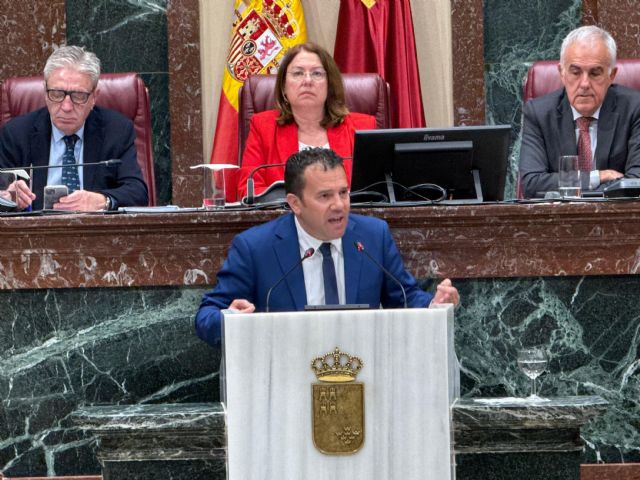 El PSOE exige al Gobierno regional ayudas urgentes para paliar las consecuencias de las tormentas de granizo, que afectaron especialmente al sector agrícola - 1, Foto 1