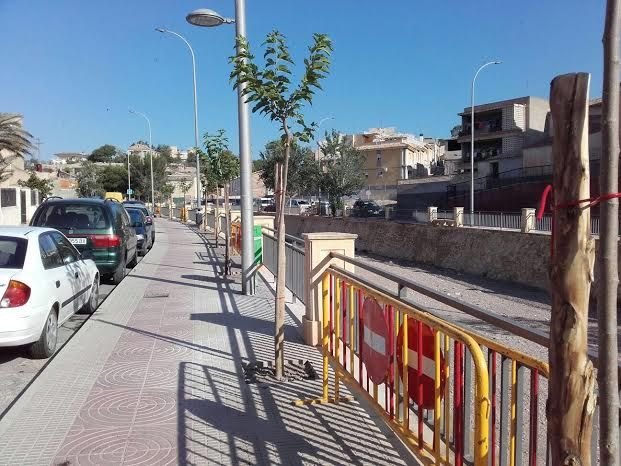 Replantan nuevo arbolado en los espacios vacíos de la avenida Rambla de La Santa - 3, Foto 3
