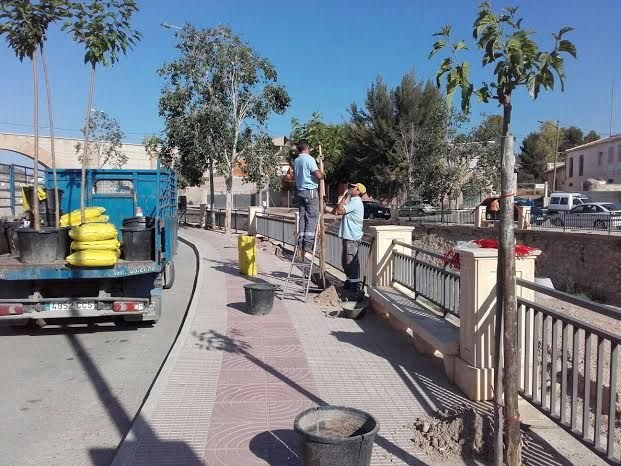 Replantan nuevo arbolado en los espacios vacíos de la avenida Rambla de La Santa - 4, Foto 4