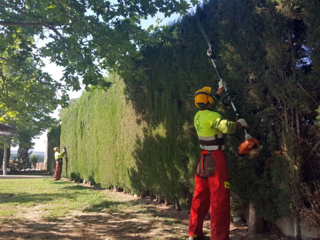 Las piscinas municipales abrirán con sus zonas verdes y arbolado en perfecto estado de revista - 1, Foto 1
