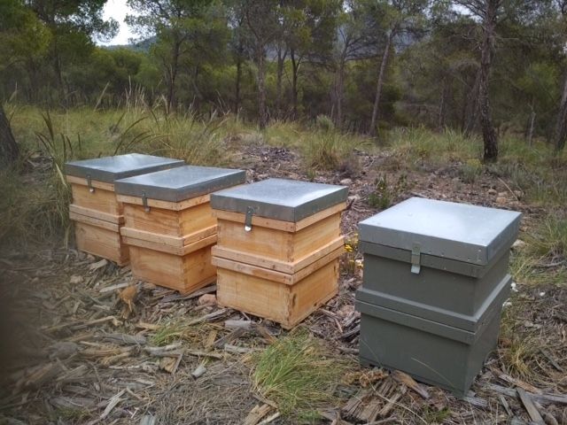 It is awarded the beekeeping until May 31, 2023 of the public mountains of Totana, Foto 3