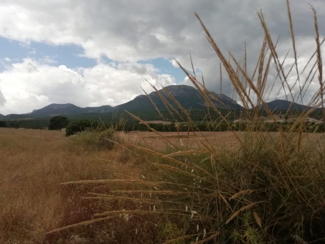 IU-Verdes se opone a la construcción de una macrogranja de 12.000 lechones a los pies de la sierra del Gigante - 1, Foto 1