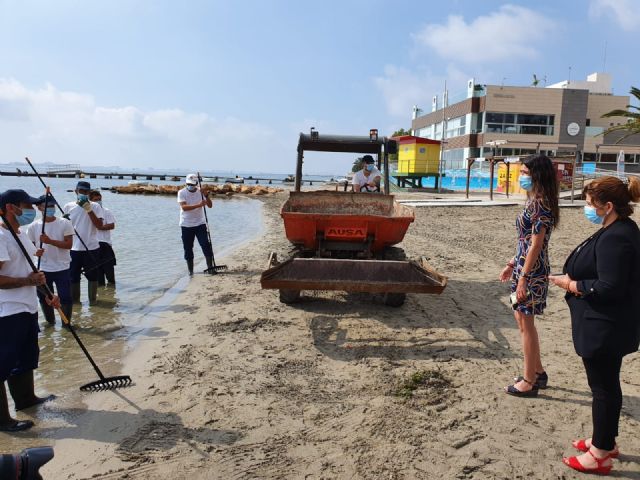 Prórrogan los trabajos de emergencia de retirada de biomasa en las playas del Mar Menor - 1, Foto 1