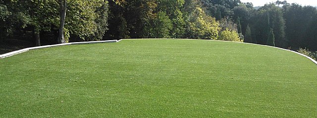 El césped artificial que ha cambiado la vida de muchos - 1, Foto 1