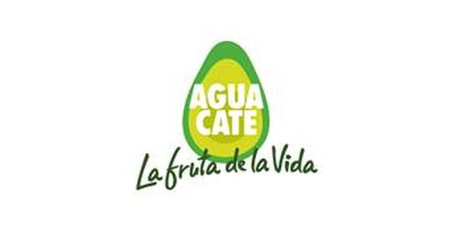 WAO celebra el mes mundial del aguacate con perspectivas de crecimiento del 20% para este año - 1, Foto 1