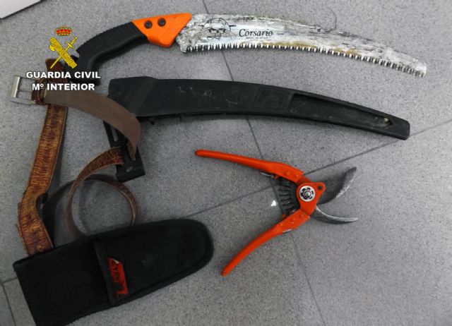 La Guardia Civil detiene e investiga a tres jóvenes por robos en varias naves agrícolas de Pliego y Mula - 3, Foto 3