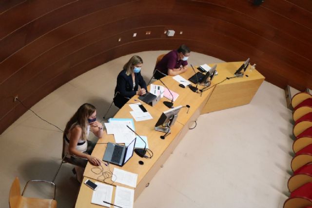 El Consejo de Servicios Sociales sitúa el foco en las personas sin hogar y en los mayores que viven en soledad - 2, Foto 2