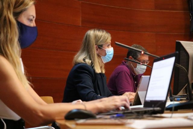 El Consejo de Servicios Sociales sitúa el foco en las personas sin hogar y en los mayores que viven en soledad - 3, Foto 3