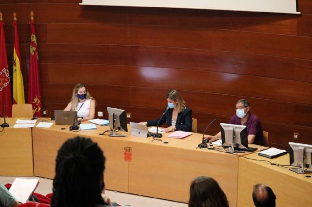 El Consejo de Servicios Sociales sitúa el foco en las personas sin hogar y en los mayores que viven en soledad - 4, Foto 4