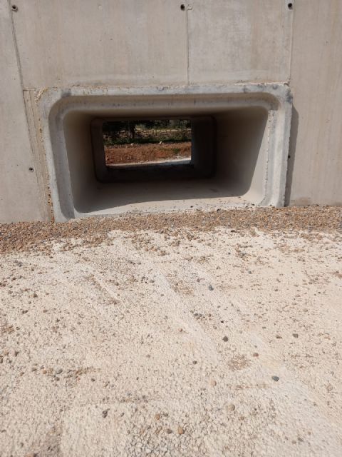 El secretario general del PSOE Cartagena Oeste denuncia la dejadez del Ayuntamiento en el arreglo de la carretera RM E18 - 4, Foto 4