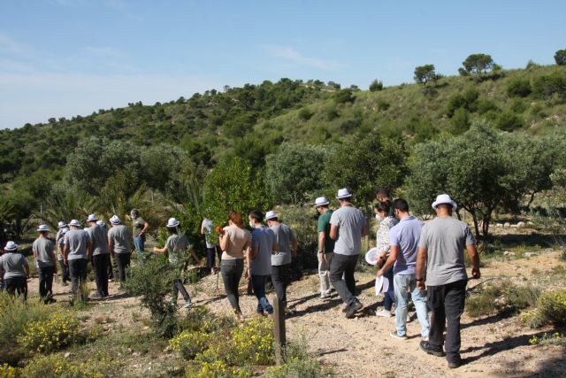 La Concejalía de Medio Ambiente de Molina de Segura colabora con la empresa Auto Classe de Grupo Huertas en una actividad de reforestación en el Parque Ecológico Vicente Blanes - 2, Foto 2