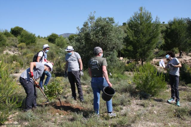 La Concejalía de Medio Ambiente de Molina de Segura colabora con la empresa Auto Classe de Grupo Huertas en una actividad de reforestación en el Parque Ecológico Vicente Blanes - 4, Foto 4