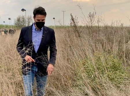 El PP de Molina de Segura pide y propone medidas urgentes al alcalde socialista, Eliseo García, para atajar la oleada de plagas que sufre nuestra ciudad - 1, Foto 1