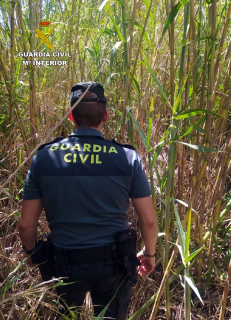 La Guardia Civil rescata a una mujer que cayó al río cuando intentaba recuperar a su mascota - 1, Foto 1