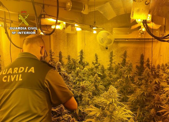 La Guardia Civil desmantela en Fortuna un punto de cultivo ilícito de marihuana - 1, Foto 1