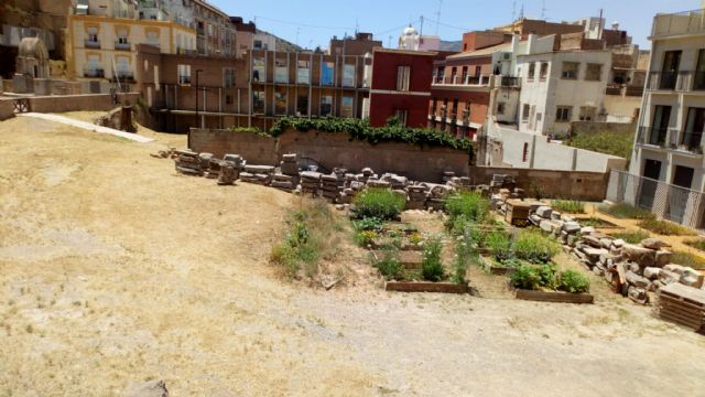 PCC: El Pórtico del Teatro Romano sigue en punto muerto seis años después del anuncio de su excavación - 3, Foto 3
