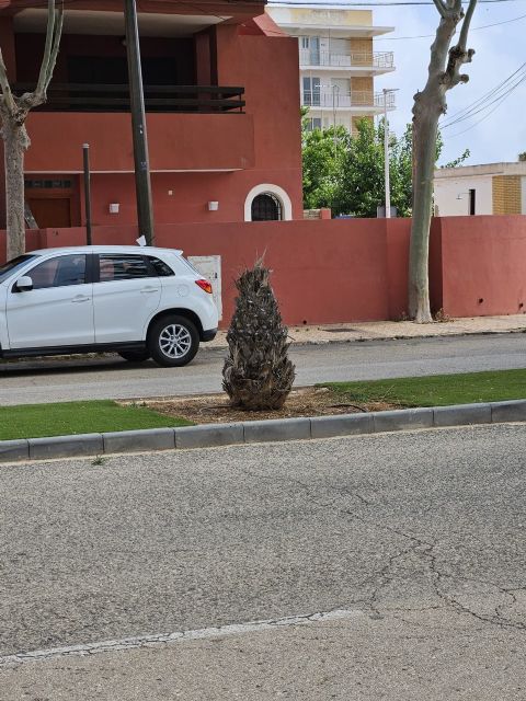 MC: El gobierno de Arroyo, cómplice del abandono de Mar de Cristal - 5, Foto 5
