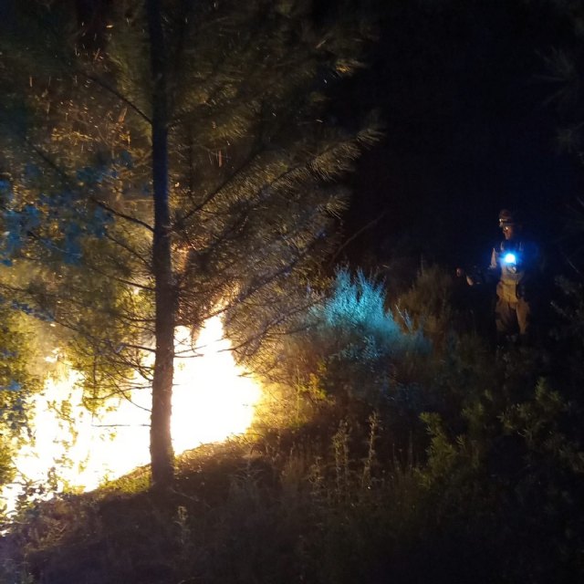 Conato de incendio forestal declarado en la sierra de Los Álamos, en Moratalla - 1, Foto 1