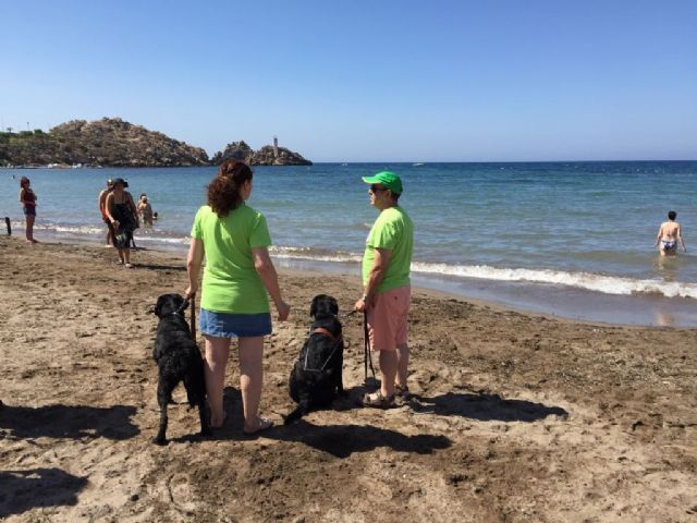 Águilas abre sus playas a los perros guía - 2, Foto 2