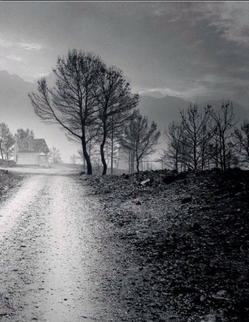 El trabajo del fotógrafo murciano David Flores para PHotoEspaña es publicado en un dominical nacional - 1, Foto 1