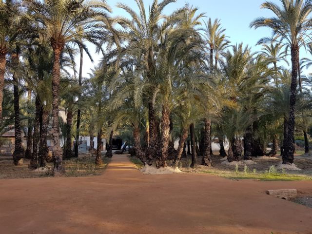 El Palmeral de Santiago y Zaraíche se convierte en un espacio 2.0 gracias a un proyecto de la Junta Municipal - 2, Foto 2