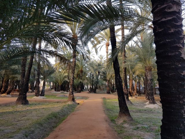 El Palmeral de Santiago y Zaraíche se convierte en un espacio 2.0 gracias a un proyecto de la Junta Municipal - 3, Foto 3