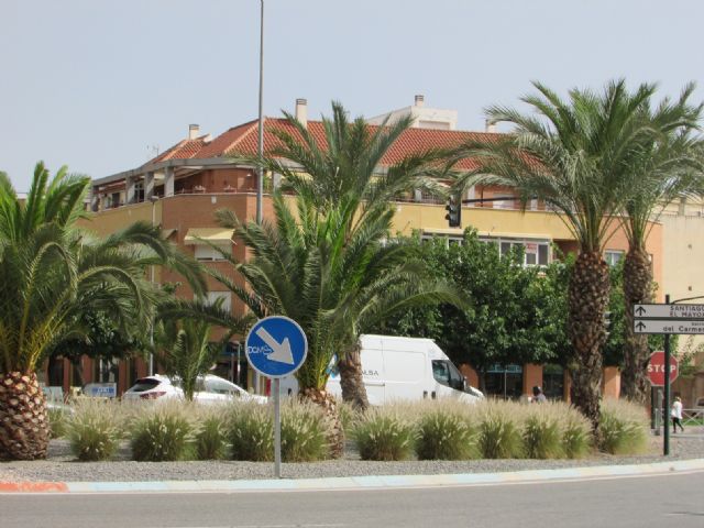 Denuncian que la especie invasora ´rabo de gato´ sigue presente en espacios públicos del municipio una vez finalizado el supuesto plan de erradicación del PP - 1, Foto 1