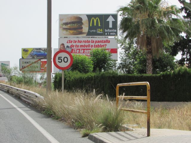 Denuncian que la especie invasora ´rabo de gato´ sigue presente en espacios públicos del municipio una vez finalizado el supuesto plan de erradicación del PP - 2, Foto 2