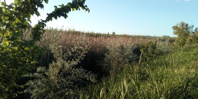 Aguas de Murcia y ANSE renuevan el convenio para el fomento de la biodiversidad en Murcia - 1, Foto 1