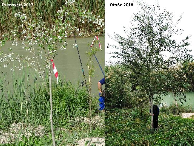 Aguas de Murcia y ANSE renuevan el convenio para el fomento de la biodiversidad en Murcia - 2, Foto 2