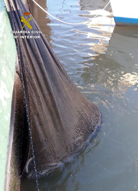 La Guardia Civil investiga a cuatro pescadores por la captura de anguilas en el Mar Menor - 5, Foto 5