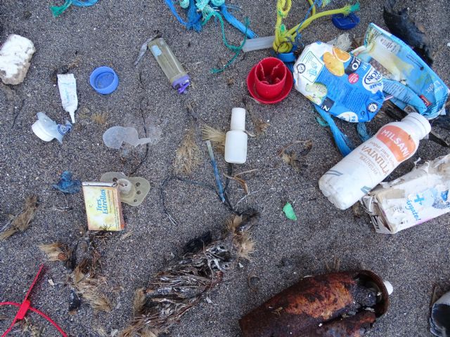 La mar y el Segura sin basura: Estudiando y retirando residuos de nuestras costas y ríos - 5, Foto 5