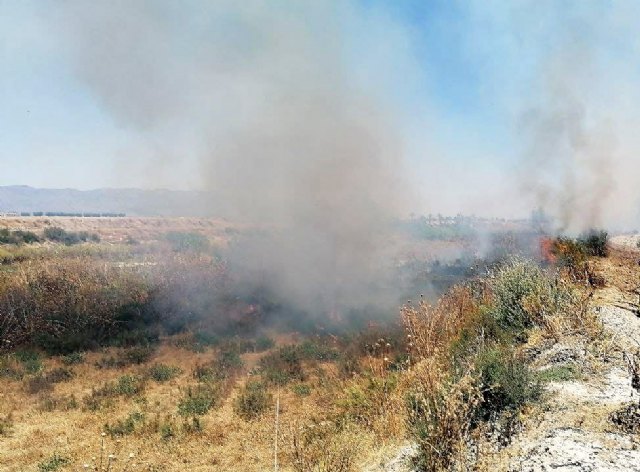 Servicios de emergencia dan por finalizada la extinción del incendio declarado en la rambla de Biznaga - 2, Foto 2