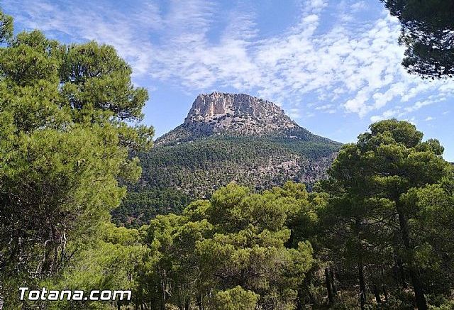 Los accesos a los parques de Sierra Espuña, El Valle y Carrascoy, Sierra de la Pila y del Carche, y a los montes públicos cerrarán el lunes por el calor, Foto 1
