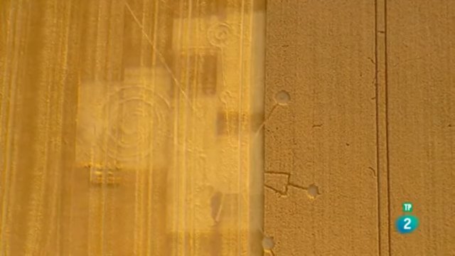 Los circulos de las cosechas - 2, Foto 2